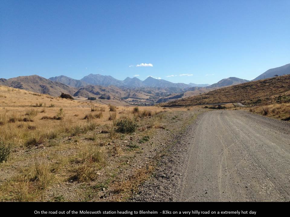 22.jpg (105812 bytes)